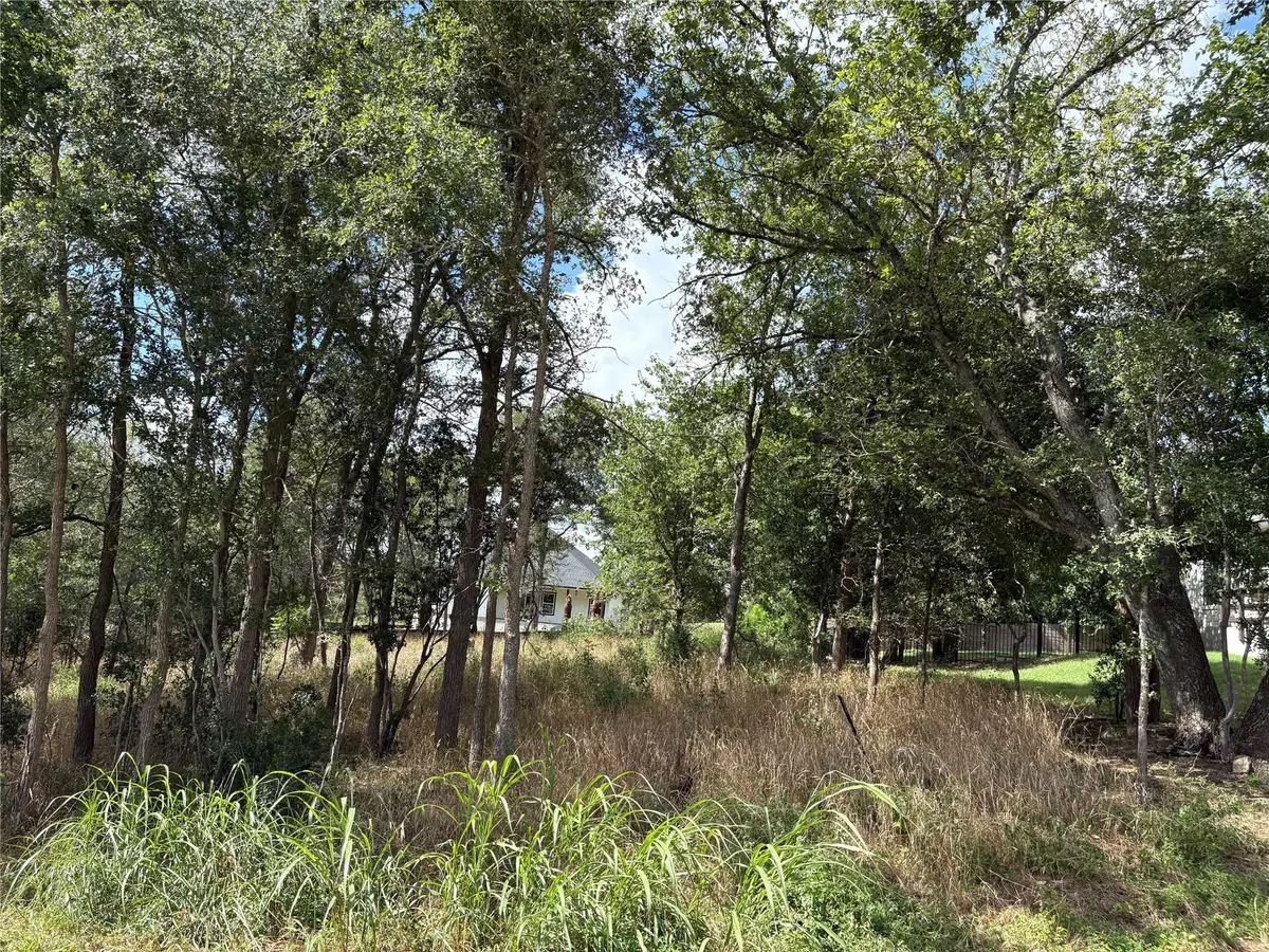 111 W Kikipua Ln W, Bastrop, TX 78602 - Image #1