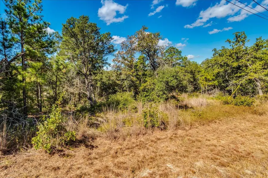 106 Wampum, Smithville, TX 78957 - #2