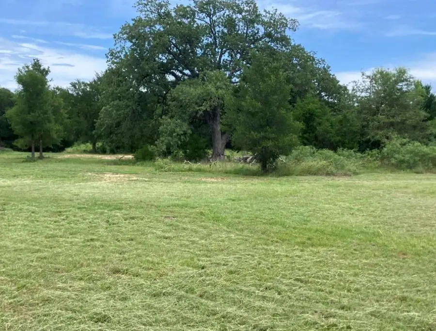 317 Pleasant Grove Loop, Elgin, TX 78621 - #2