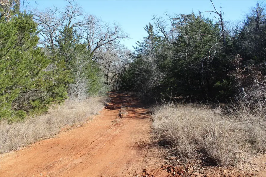 1223 County Road 429, Dime Box, TX 77853 - Image #3