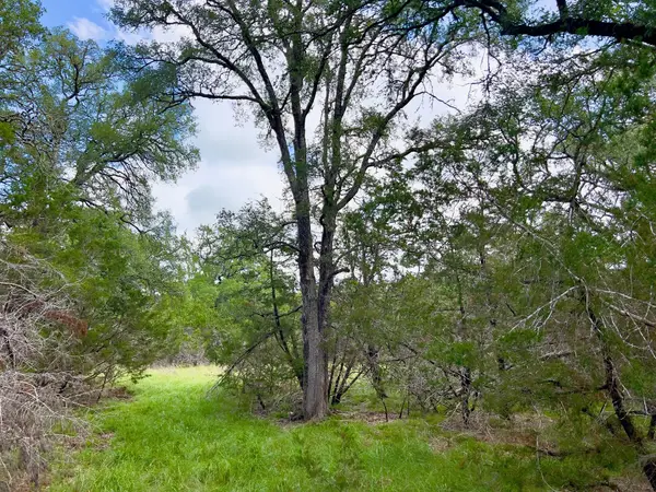 Lot 43-A Narrows Rd #1, Blanco, TX 78606