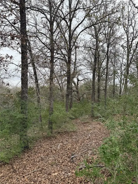 000 Wailupe Cir, Bastrop, TX 78602