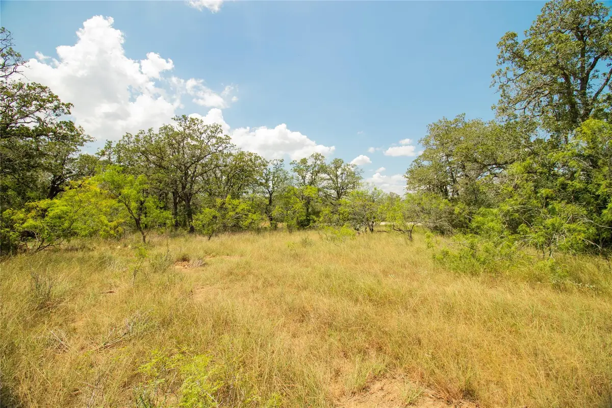 9057 Sycamore Shade Ln, Northeast Guadalupe, TX 78155 - #1