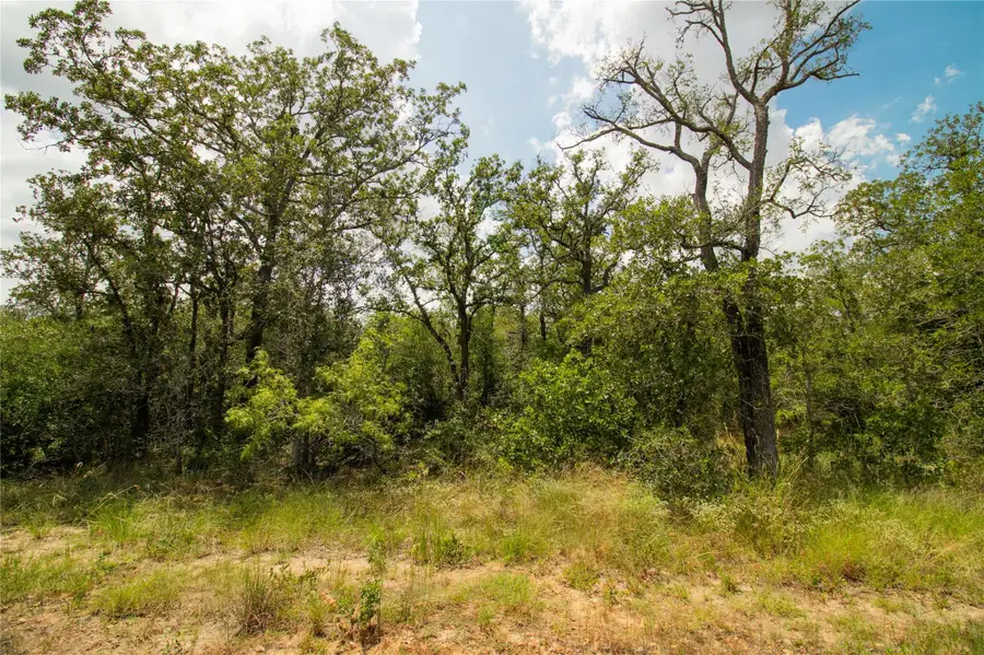 9057 Sycamore Shade Ln, Northeast Guadalupe, TX 78155 - #2