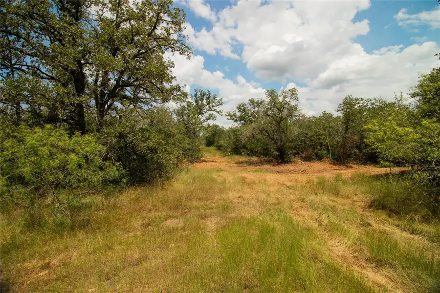 9057 Sycamore Shade Ln, Northeast Guadalupe, TX 78155 - #3
