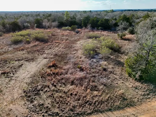 Lot 11 Antioch Rd, Paige, TX 78659
