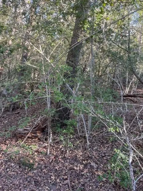 Lot 631 Hilea Ct, Bastrop, TX 78692 - Image #2