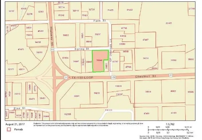 1804 Chestnut St, Bastrop, TX 78602 - Image #3