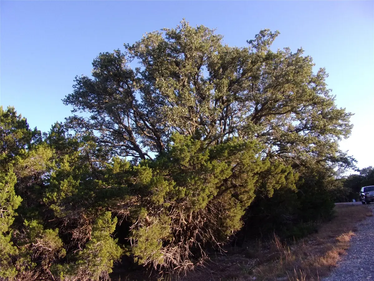 361/395 Mountain Wood Dr, Canyon Lake, TX 78133 - #1