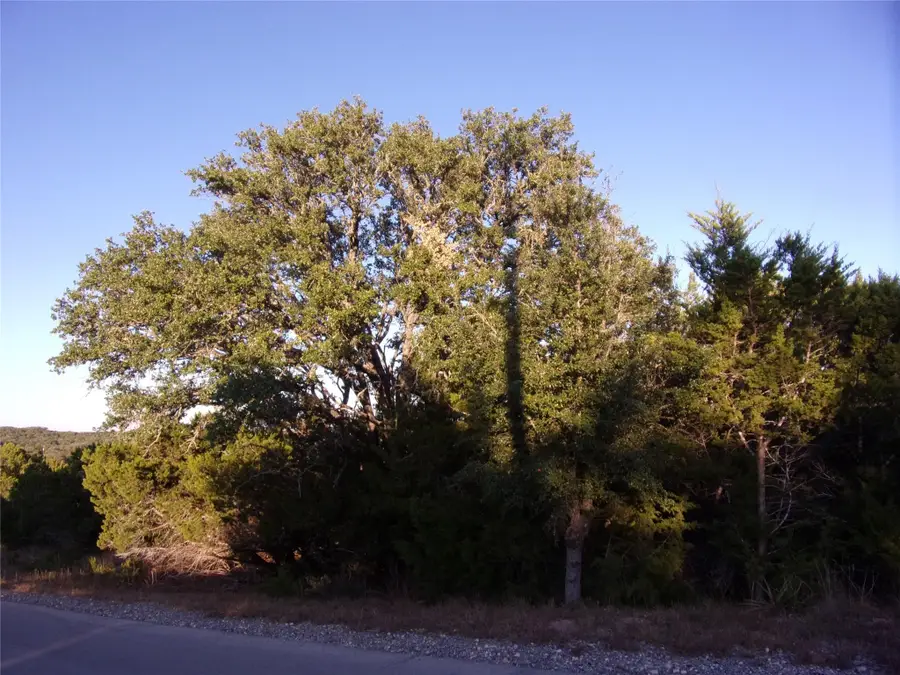 361/395 Mountain Wood Dr, Canyon Lake, TX 78133 - #2