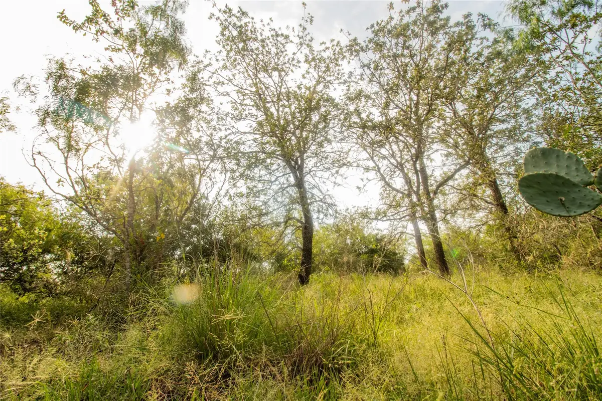 6562 Cross Rd, Seguin, TX 78155 - #1