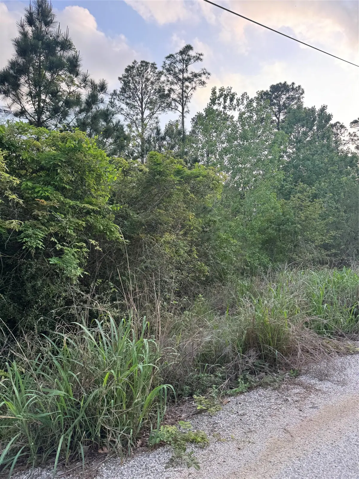 Lot 1386 N Pahihi Dr, Bastrop, TX 78602 - #1