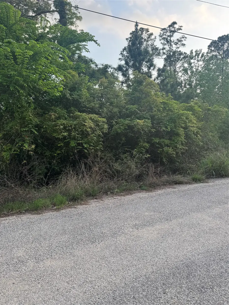 Lot 1386 N Pahihi Dr, Bastrop, TX 78602 - #2