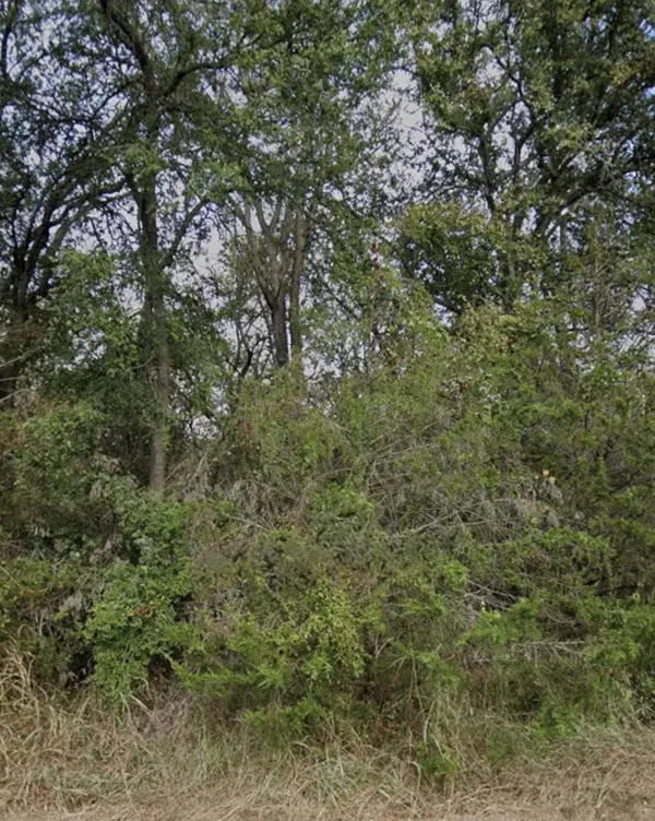 208 Sendero Blvd, Cedar Creek, TX 78612