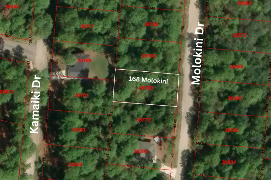 168 Molokini Dr, Bastrop, TX 78602 - #2