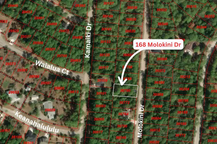 168 Molokini Dr, Bastrop, TX 78602 - #3