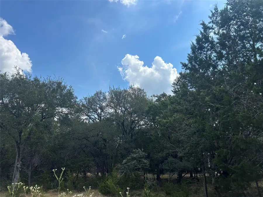 74 Deer Ridge Rd, Wimberley, TX 78676 - #3