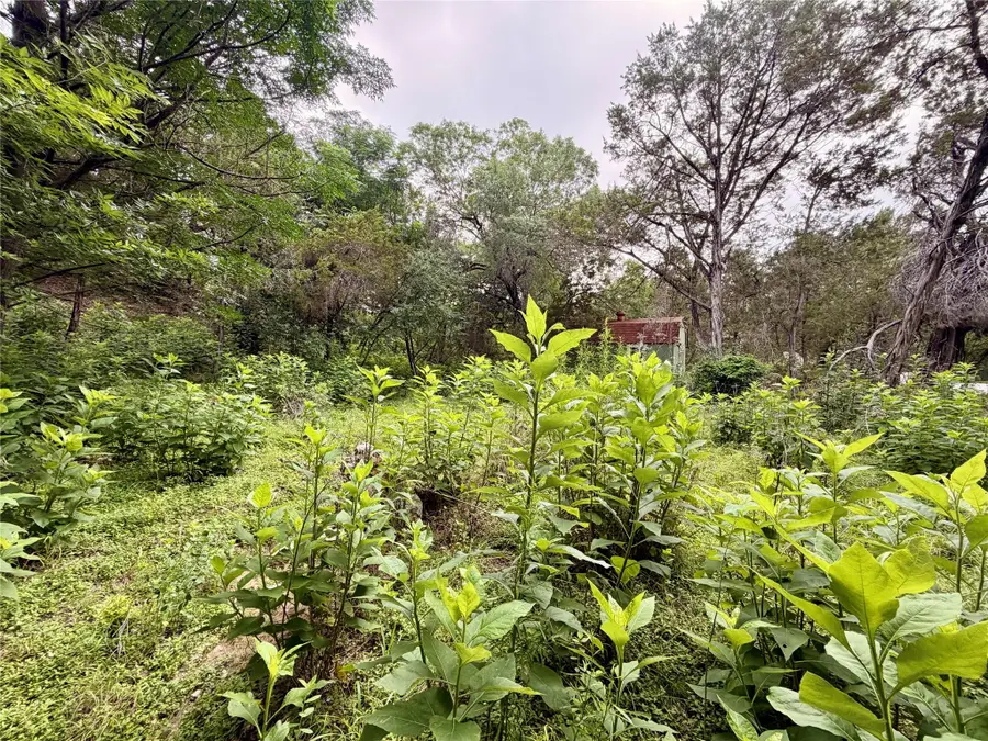 20900 Mohawk St, Lago Vista, TX 78645 - #3