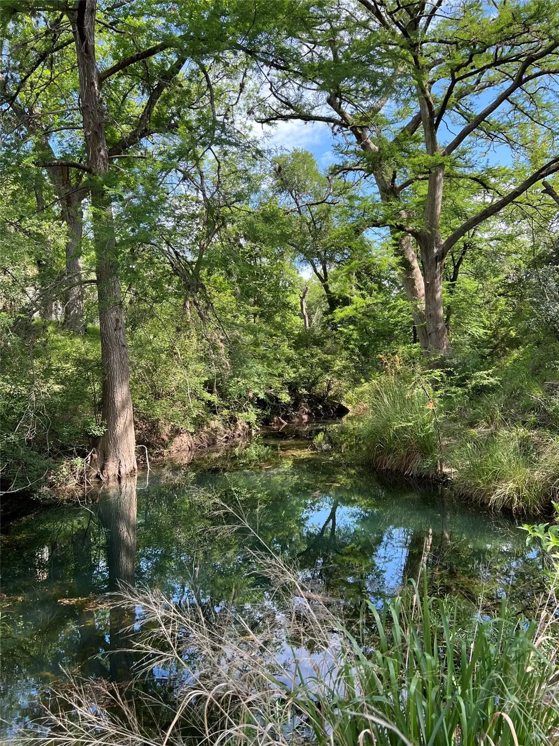 412 Lebouf Rd, Medina, TX 78885 - Image #1