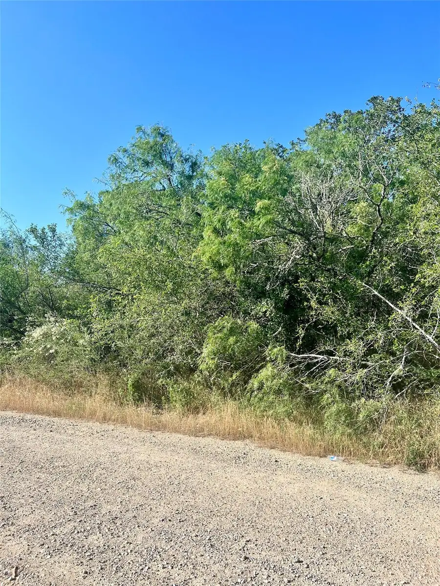 179 Helemano Dr, Bastrop, TX 78602 - Image #3