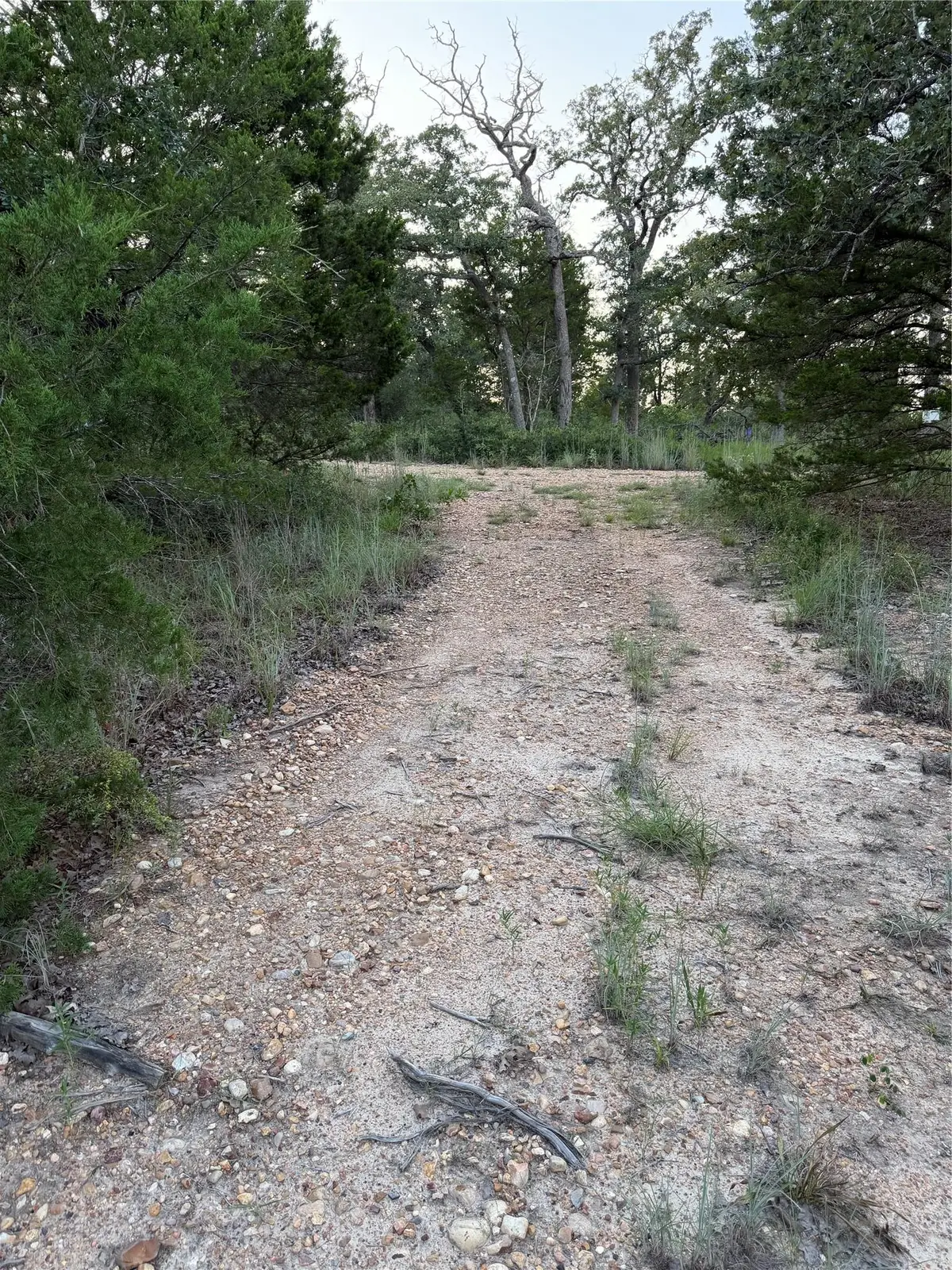 Lot 4 Spruce St, Paige, TX 78659 - #1