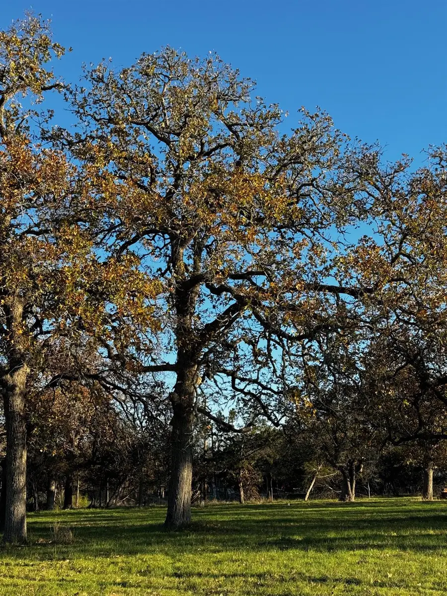 244 Buckskin Pass, Driftwood, TX 78619 - Image #2