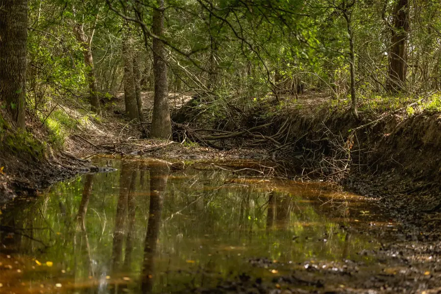 TBD Us Highway 77 S, Giddings, TX 78942 - #2