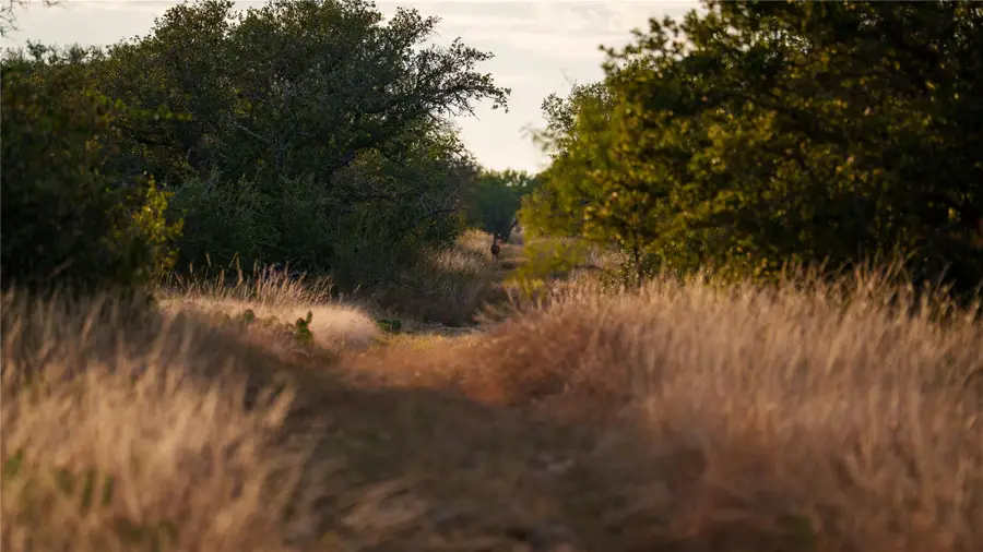 8500 Buck Ridge Dr, Melvin, TX 76858 - Image #2