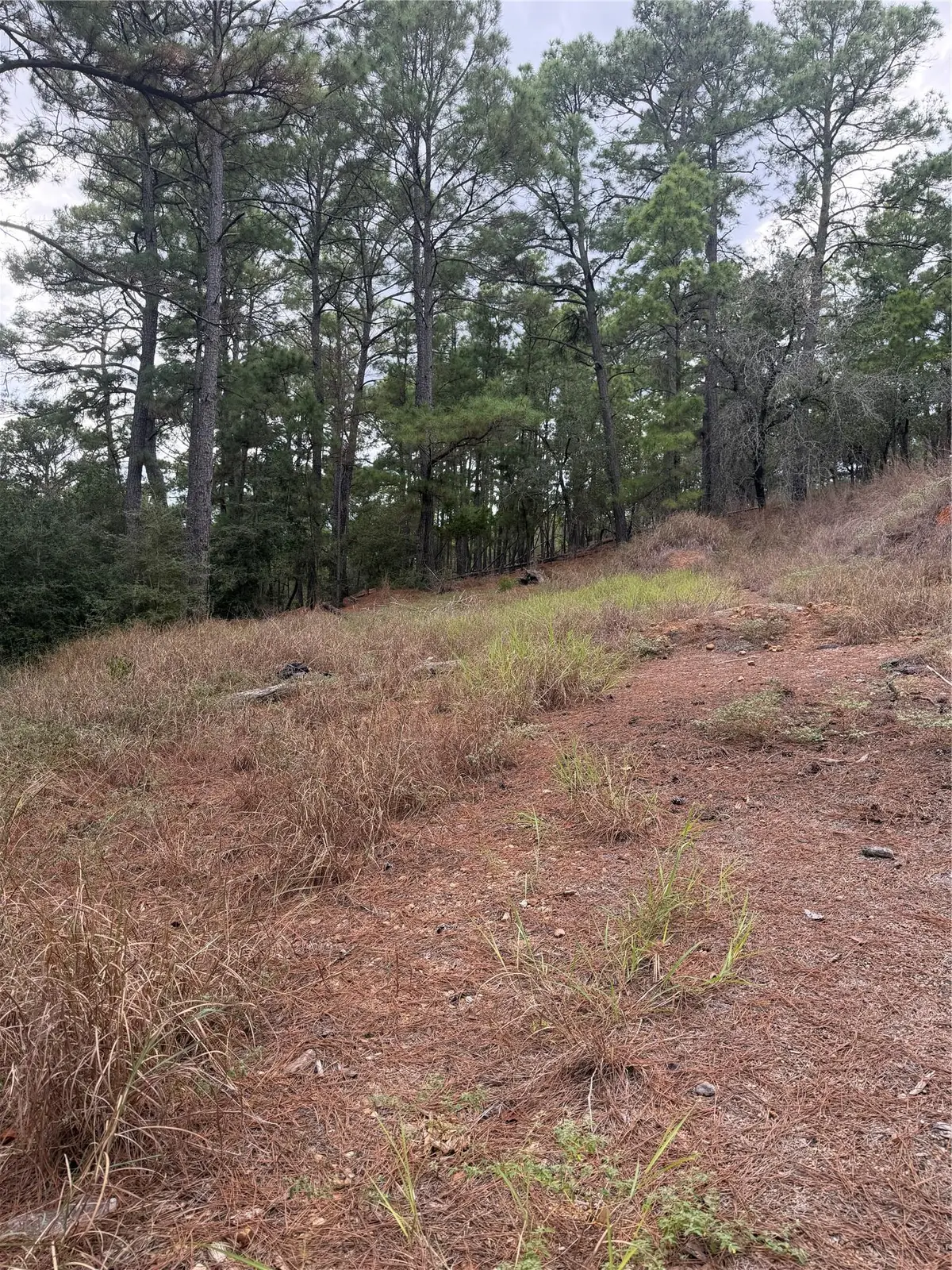 Lot 69 and 70 Taro Ct, Bastrop, TX 78602 - #1