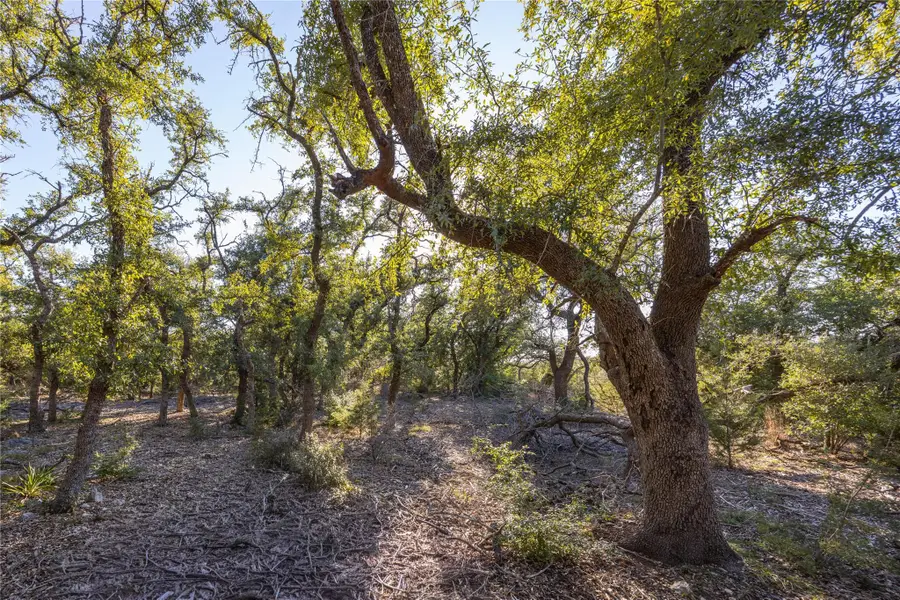 130 Panorama Dr, Wimberley, TX 78676 - #3