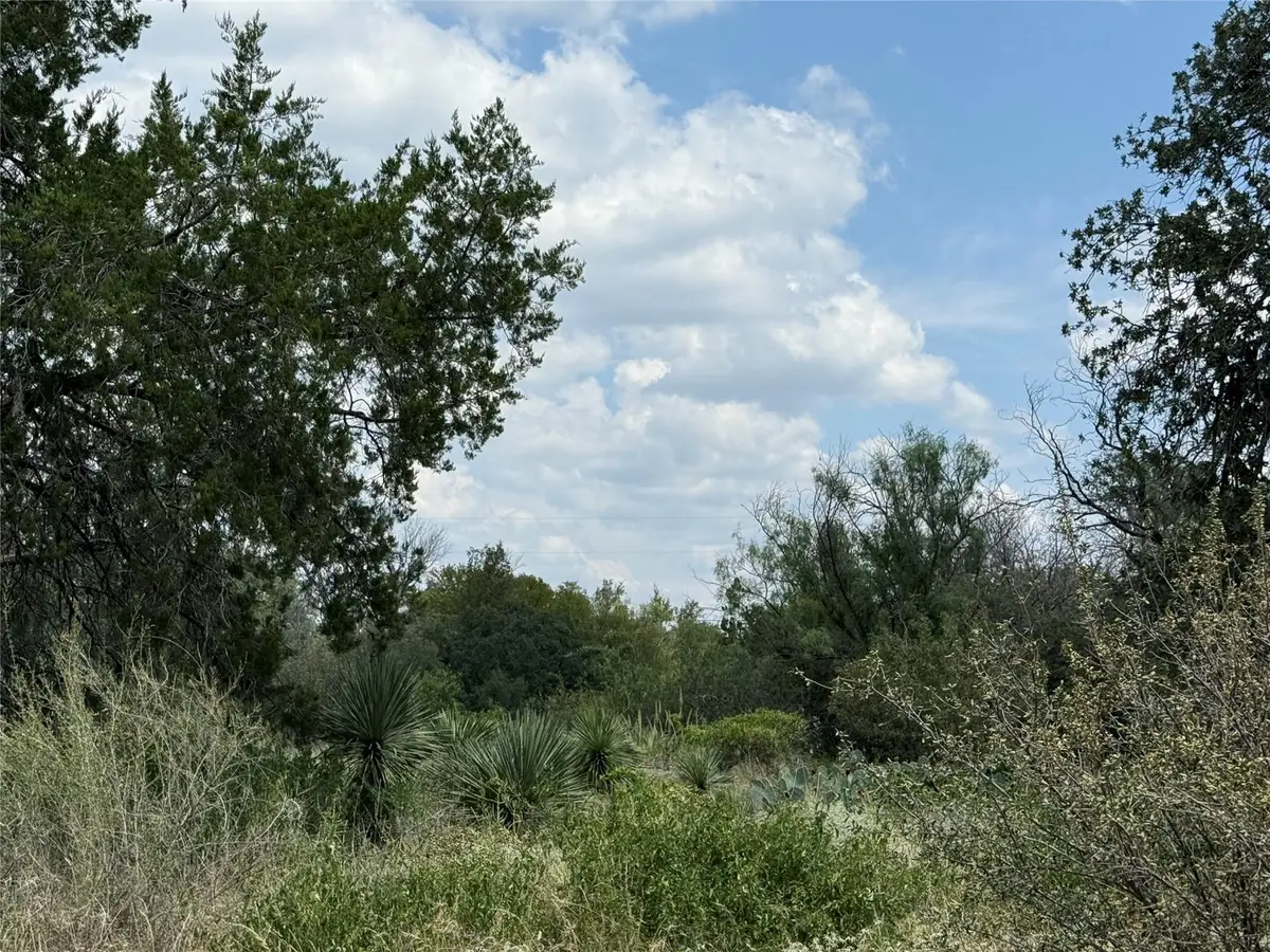 TBD Sweetbriar Dr W, Granite Shoals, TX 78654 - Image #1