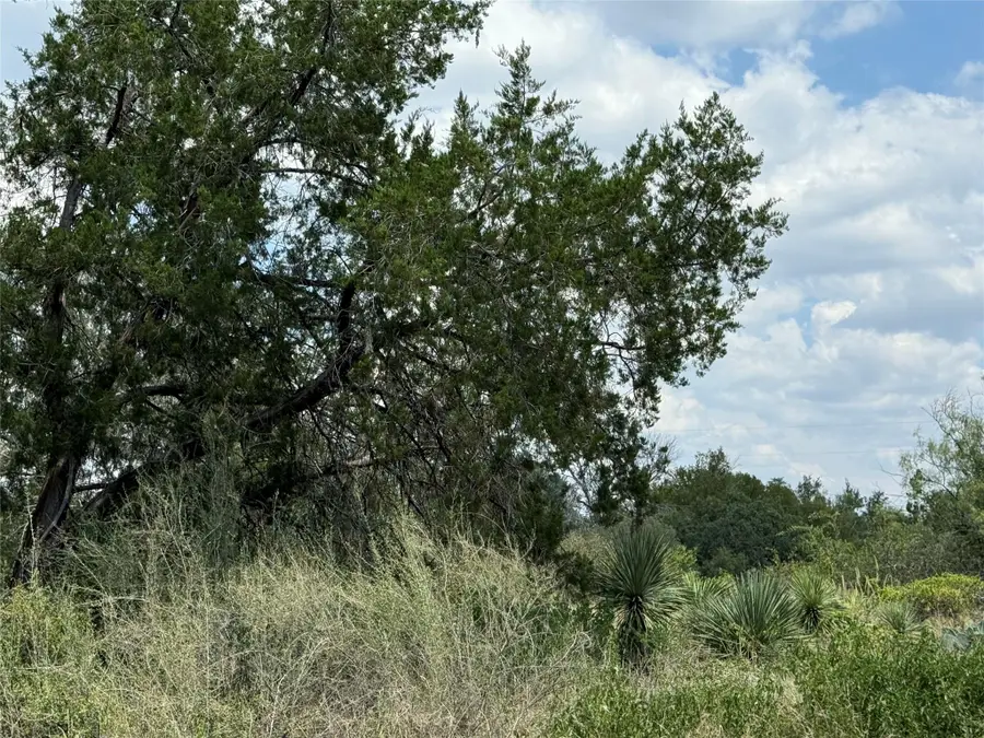 TBD Sweetbriar Dr W, Granite Shoals, TX 78654 - Image #3