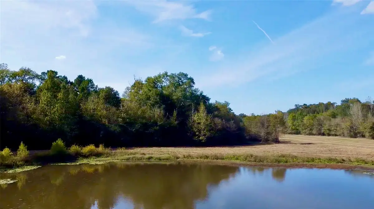 TBD County Road 4025, Lovelady, TX 75851 - #1