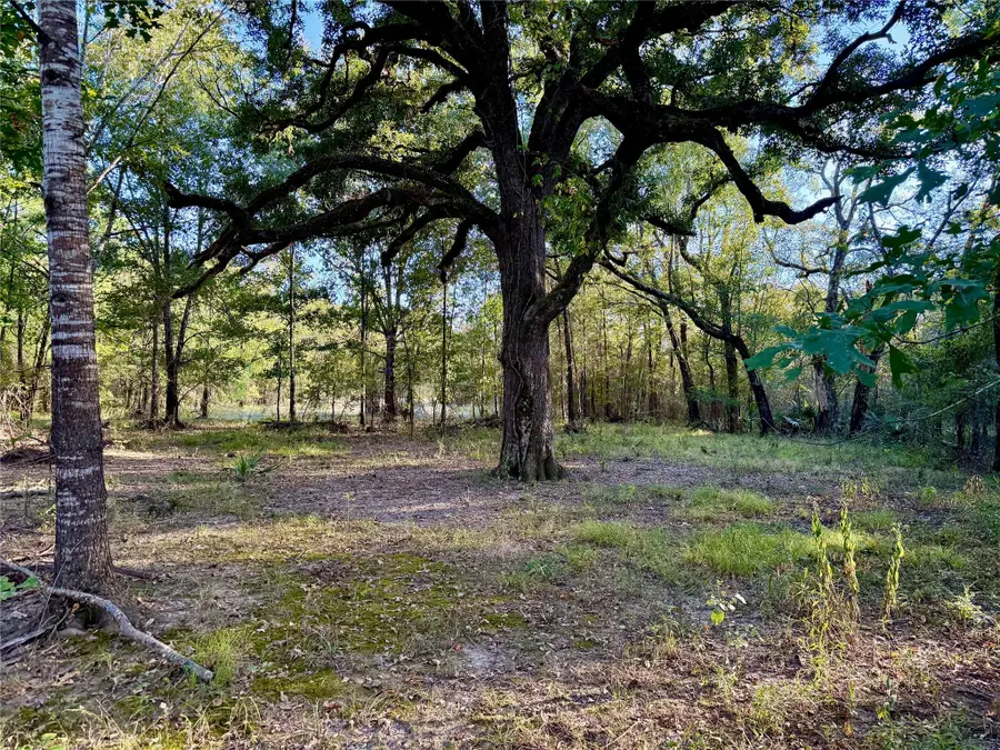 TBD County Road 4025, Lovelady, TX 75851 - #3