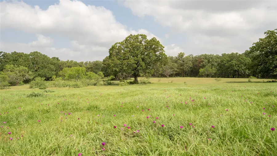 624 County Road 306, Rockdale, TX 76567 - Image #2