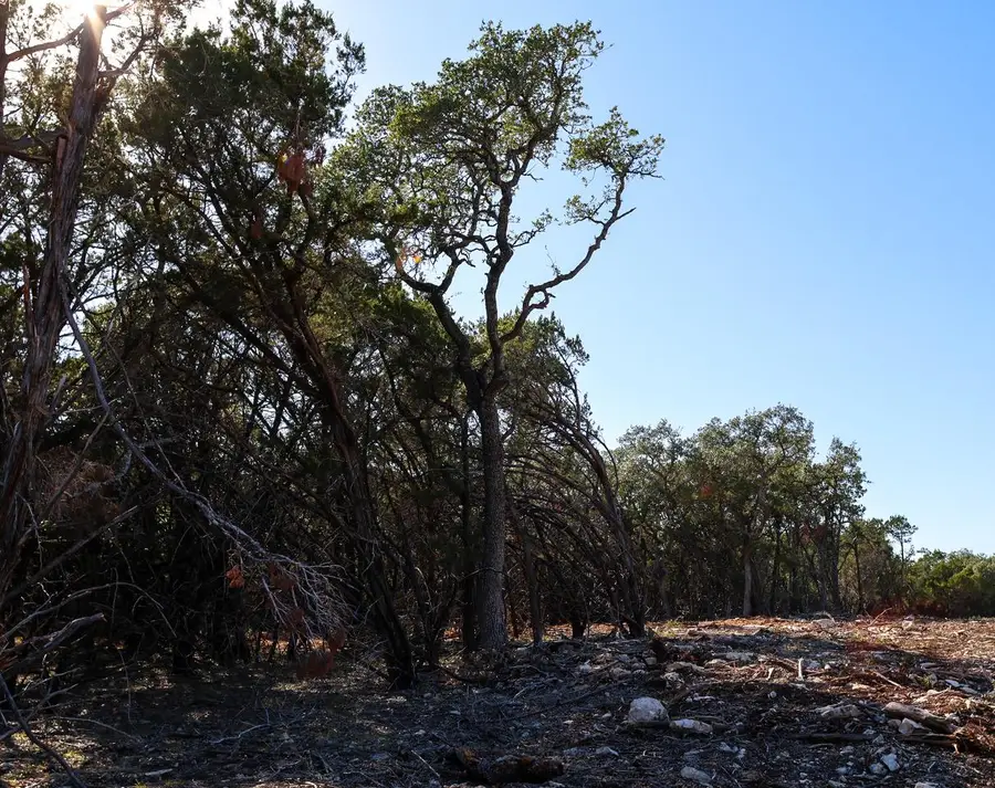 3101 - 3 Longhorn Trl, Wimberley, TX 78676 - Image #3