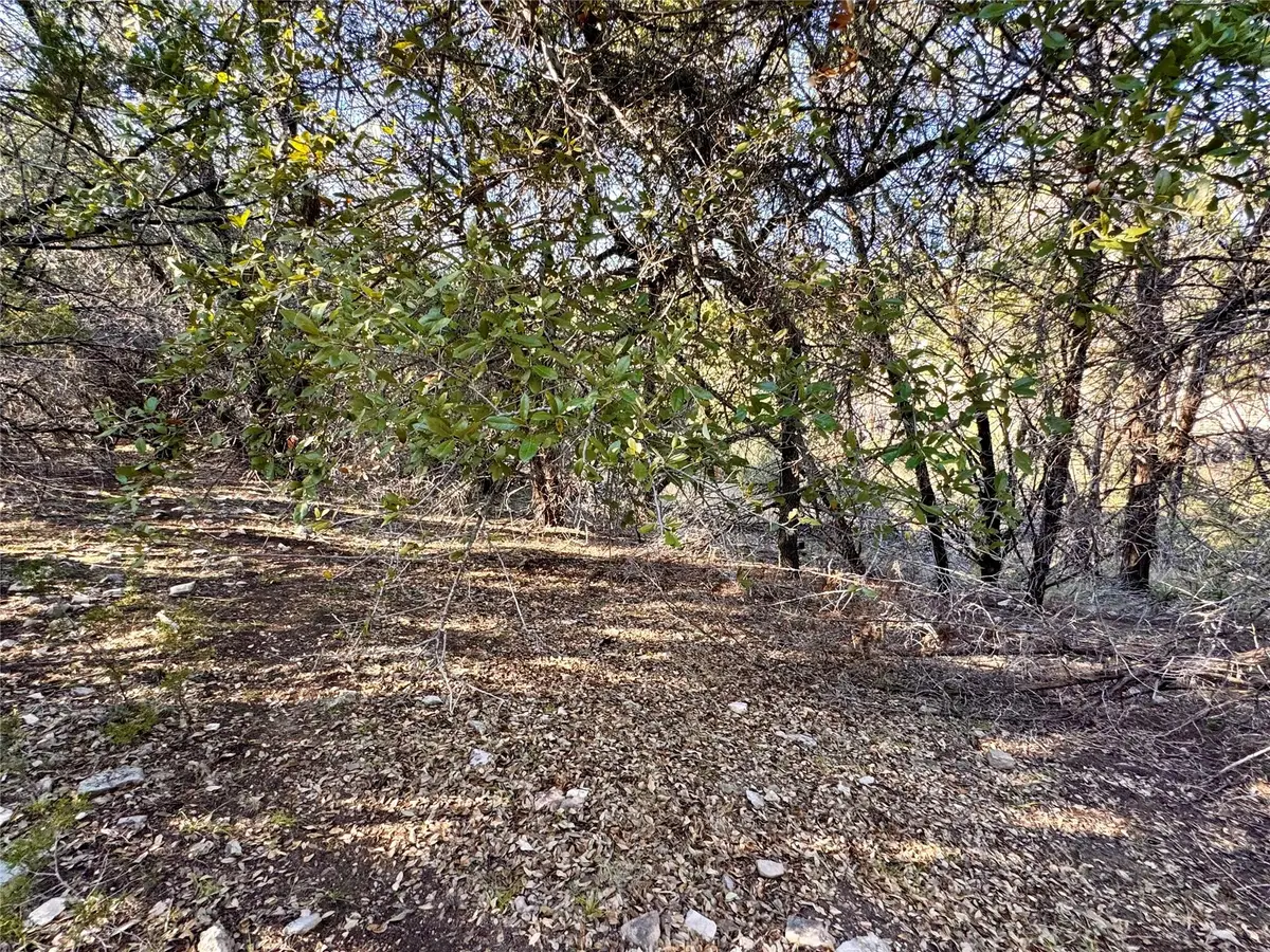 19902 Continental Dr, Lago Vista, TX 78645 - Image #1