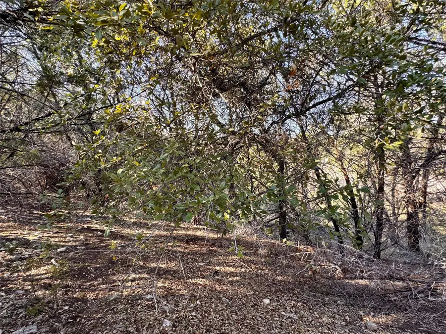 19902 Continental Dr, Lago Vista, TX 78645 - Image #2