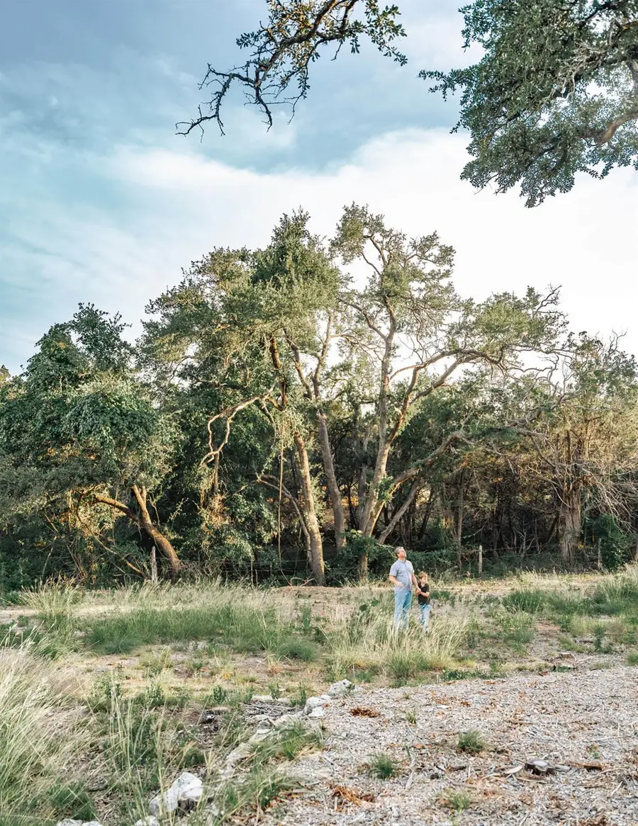 17650-A Hamilton Pool Rd, Austin, TX 78738 - #3