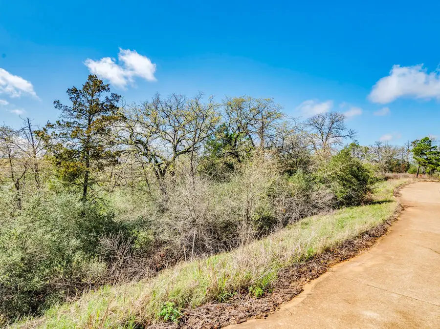 119 & 123 Mccarthy Dr, Bastrop, TX 78602 - #2