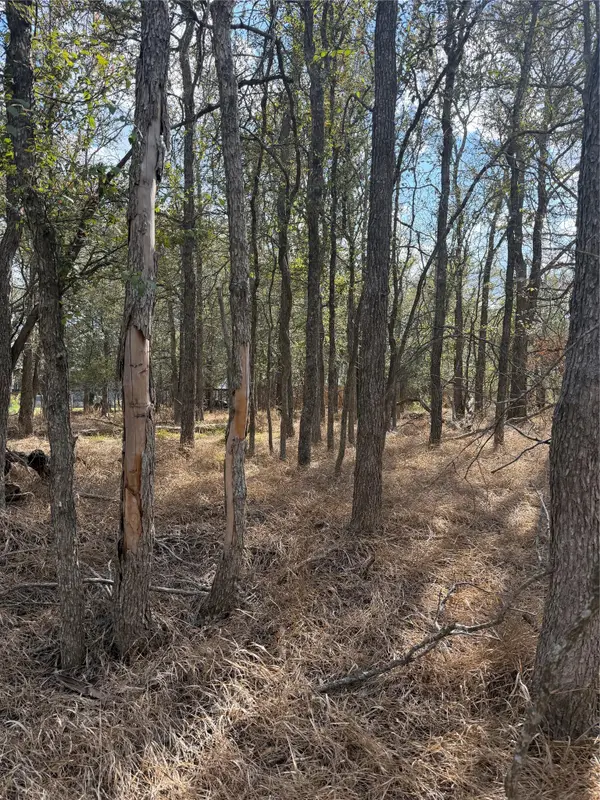 Lot 118 W Keomuku Ln, Bastrop, TX 78602
