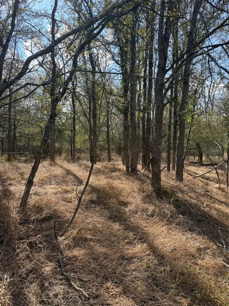 Lot 118 W Keomuku Ln, Bastrop, TX 78602 - #3