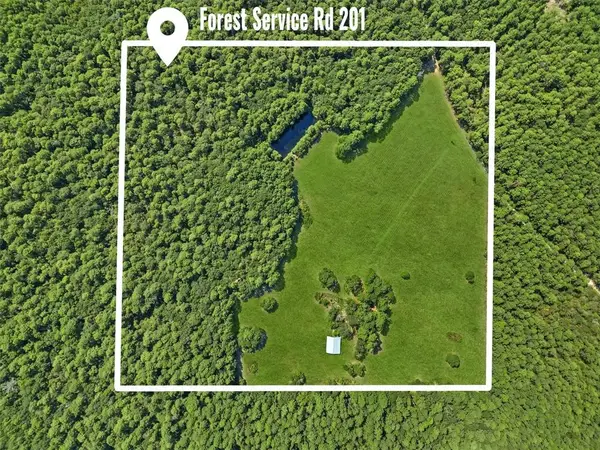 00 Forest Service Road 201, Coldspring, TX 77328