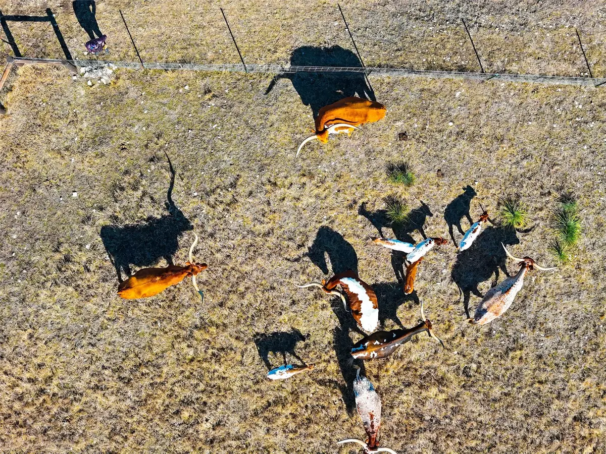 TBD Lipan Apache Run, Blanco, TX 78606 - Image #1