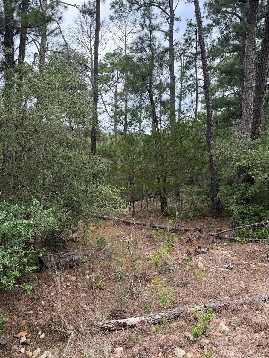 Lot 217 Hekili Dr, Bastrop, TX 78602 - #3