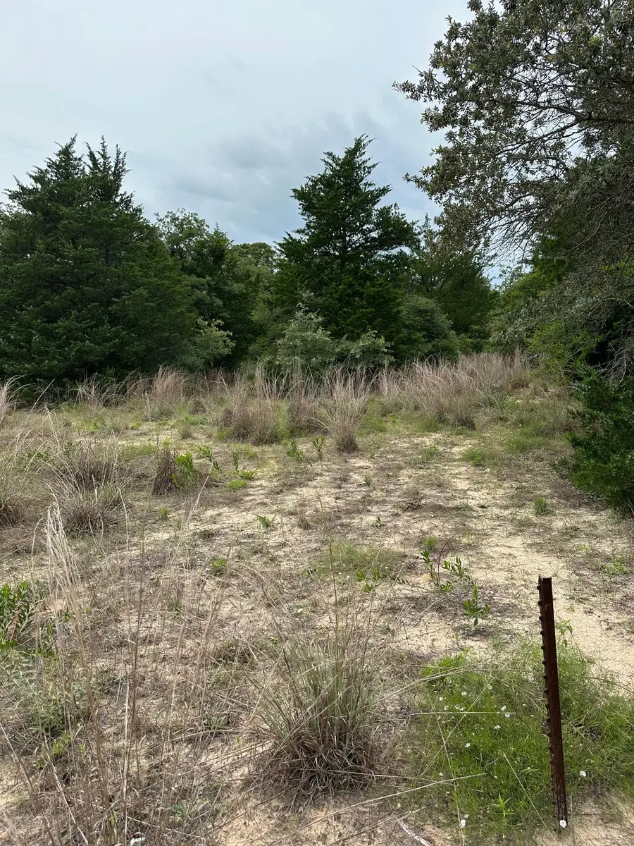 Lot 58-61 Pecan Dr, Caldwell, TX 77836 - #2