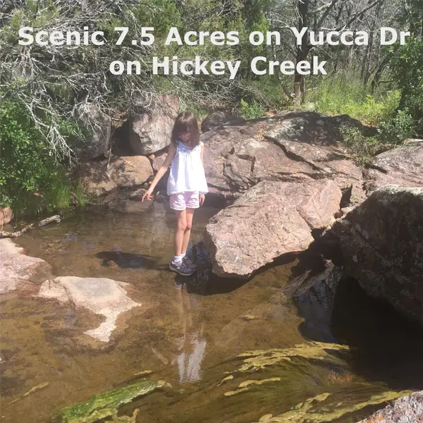 221 Yucca And Adjoining Lot Dr, Burnet, TX 78611