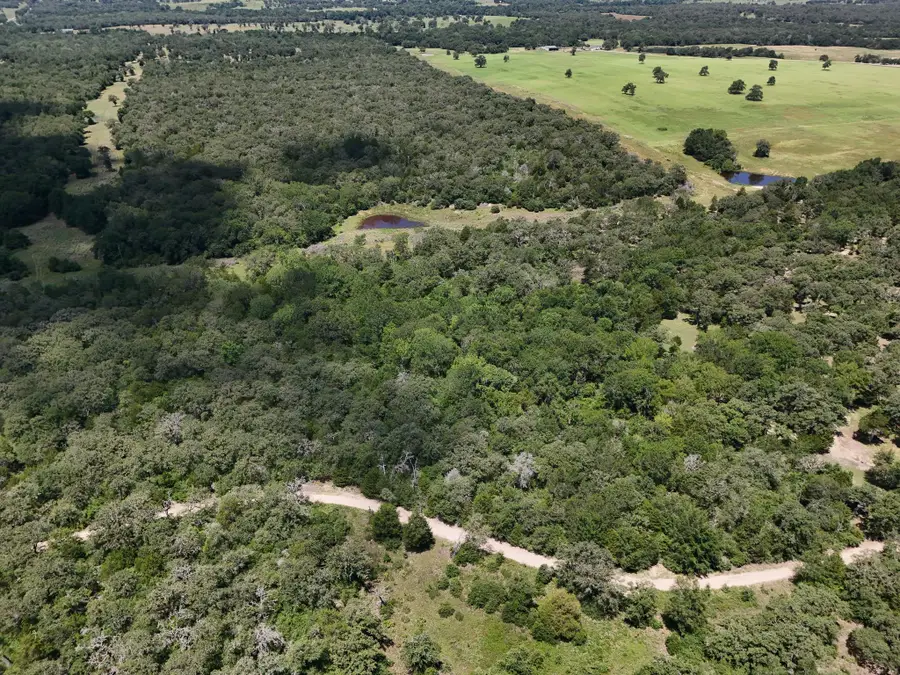 TBD Starlight Path, Caldwell, TX 77836 - #3