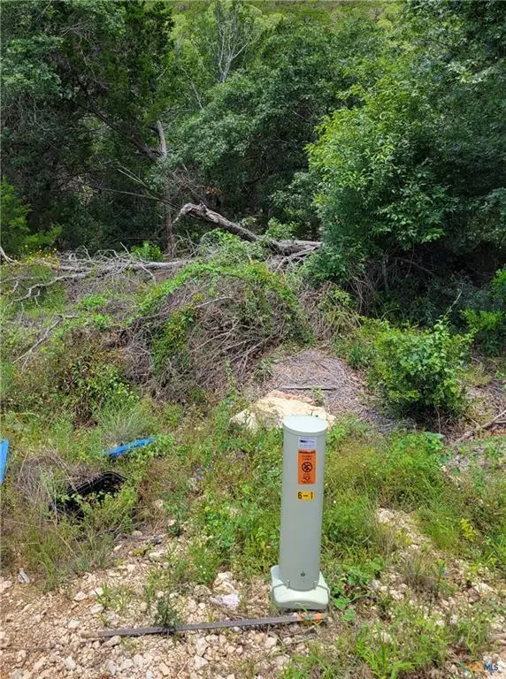 Lot 315 Private Road 1745 Rd, Mico, TX 78056 - #1