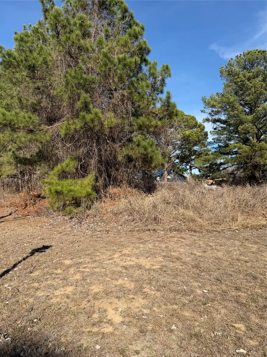 Lot 20 Indian Oak Dr, Bastrop, TX 78602 - Image #2